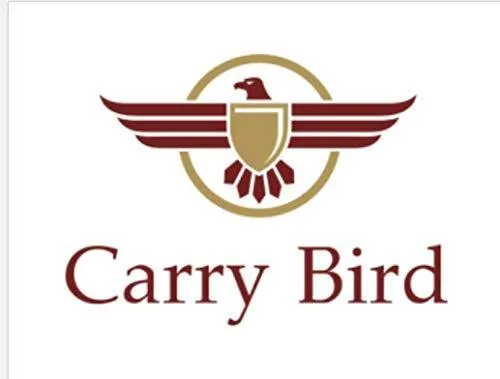 Carry Bird Swing Chair with Stand, Cushion & Hook