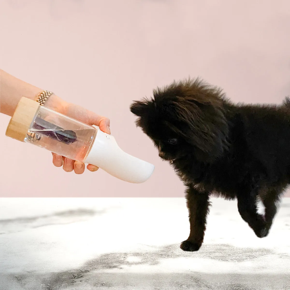 Crystal Infused Dog Water Bottle Clear Quartz