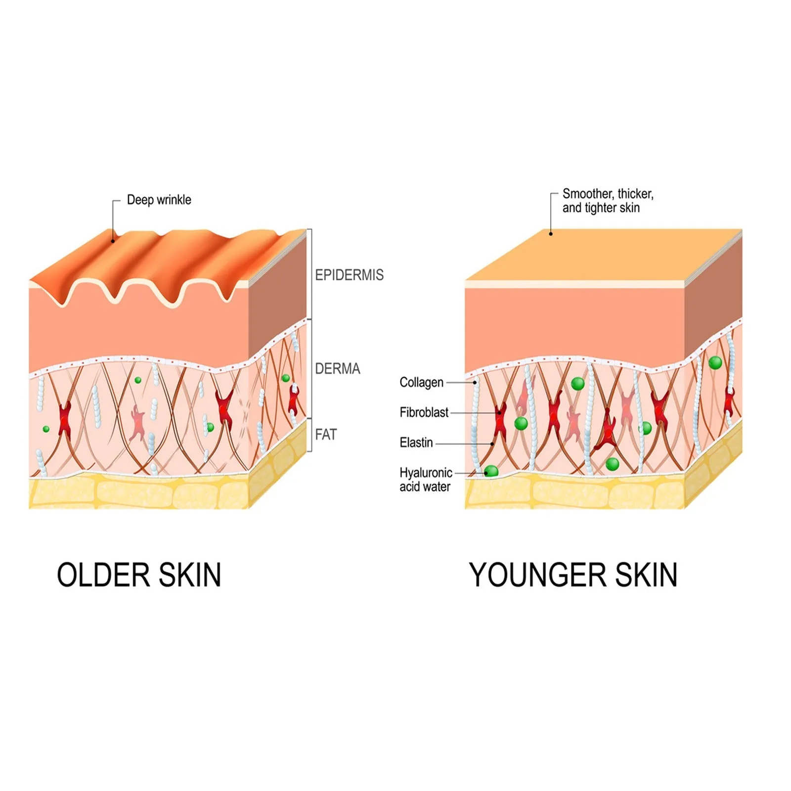 Deep Cleansing Anti-Wrinkle Essence Facial Skin Fading Wrinkle Hydrating and Firming Skin Care