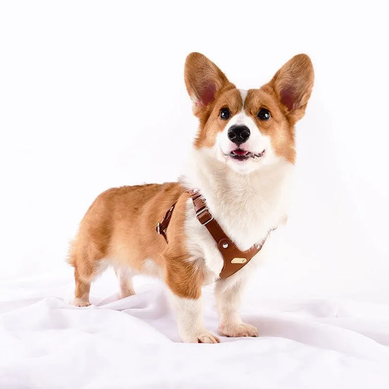Hoop Vegan Leather Dog Harness Kit