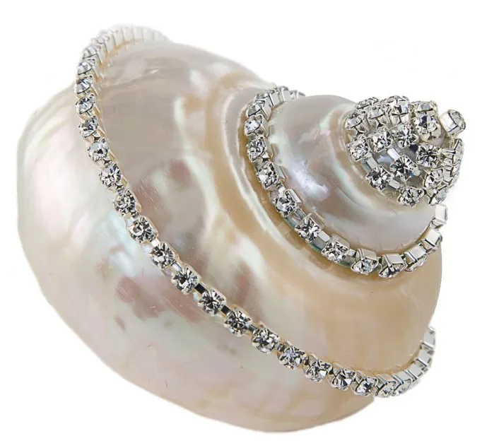 Neptune's Jewels Crystal Shell Collection Turbo Burgess Pearl