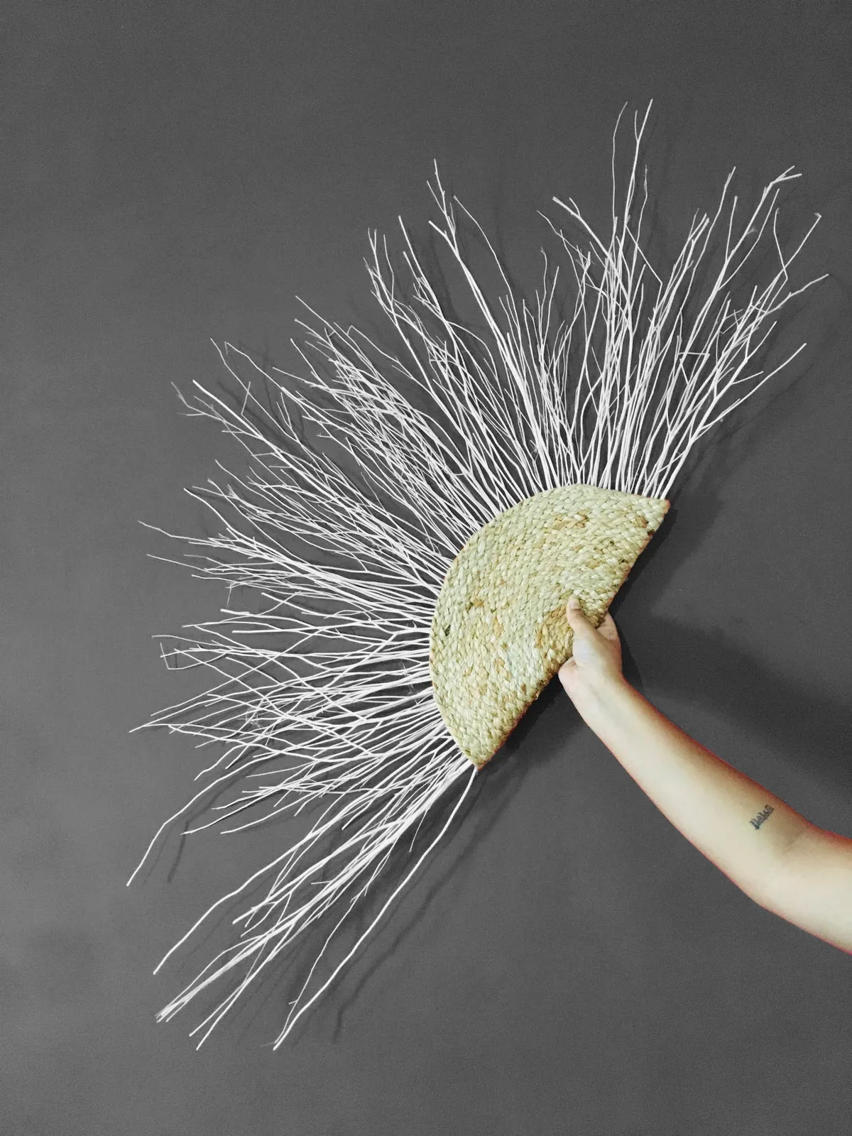 Willow Sun Decor